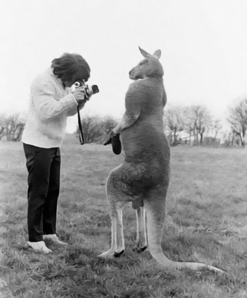 souvenir de mes vacances en Australie. photo de kangourou