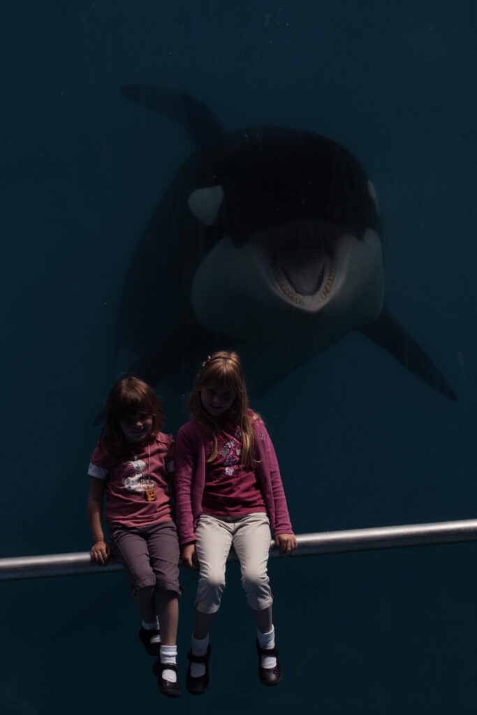 une journée au Marineland. Fanny Schlichter, l'orque dans le dos des enfants