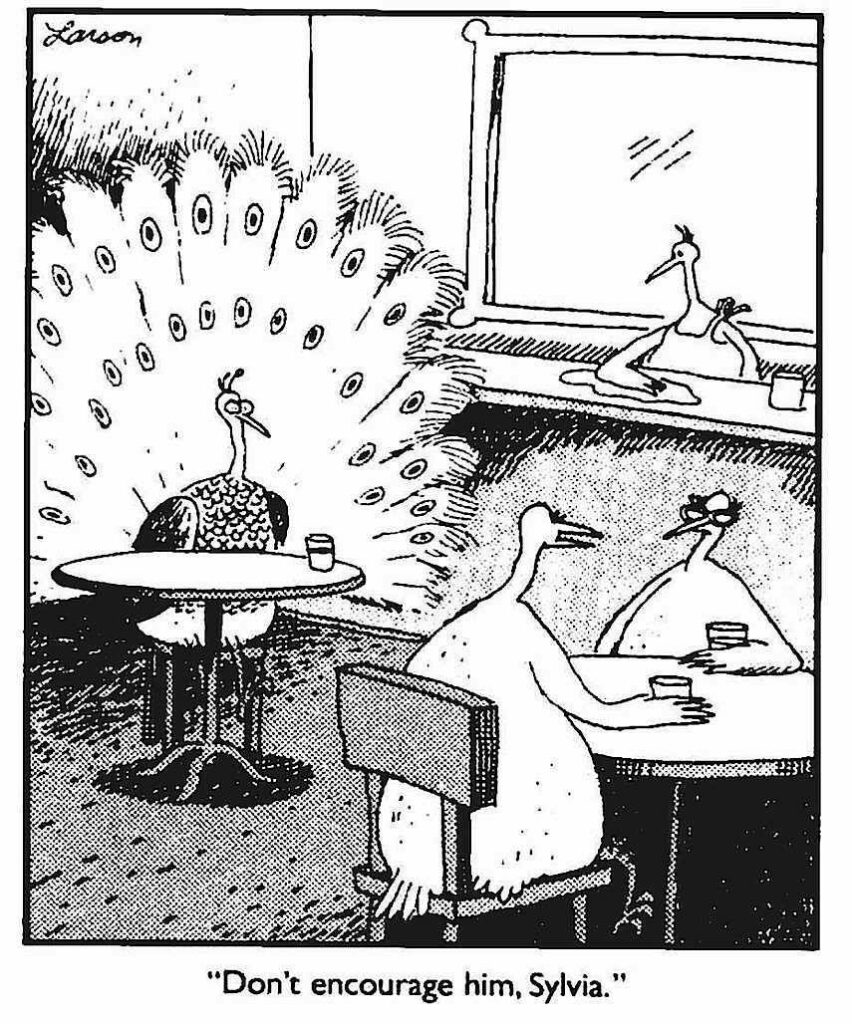 mes trucs pour séduire semblaient désormais sans effet. Gary Larson. dans un café, un paon frime en faisant la roue ; à une autre table une paonne dit à une autre : ne l'encourage pas, Sylvia