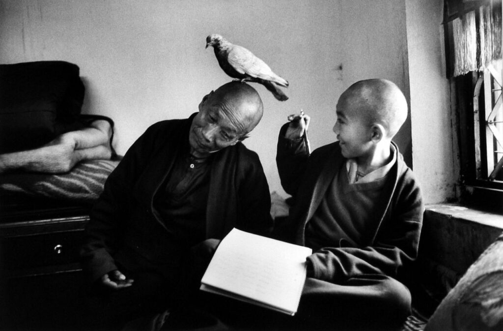 laisser l'esprit de l'oiseau venir en toi tu dois, petit scarabée. Martine Franck. tags : moine, Kung Fu, pigeon, Colombe